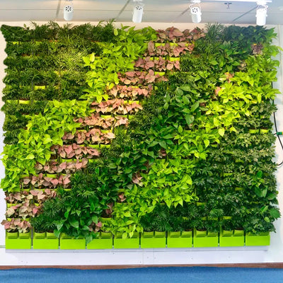 جدار نباتي بلاستيك اناء للزهور