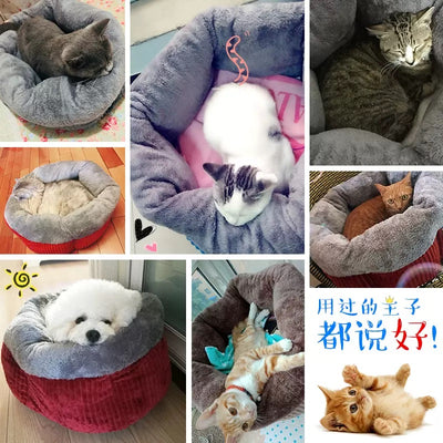 كيس النوم بيت القطط المنزلي سرير القطط والحيوانات دافي في الشتاء